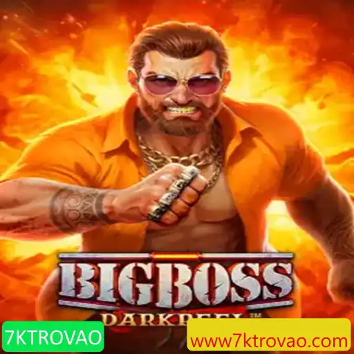 BigBoss: Uma Imersão no Mundo Estratégico de 7KTROVAO